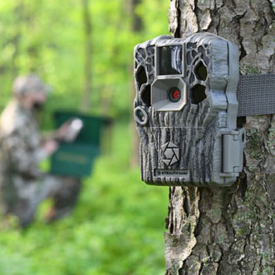 Deer Hunting Season Begins Now