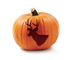 Deer-Pumpkin Deer Pumpkin Carving Template