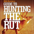 Click the cover for more information ...