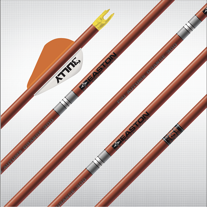 8 New Arrows for Deer Hunting