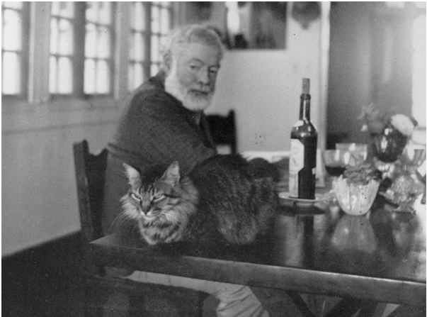 Ernest Hemingway with one of his cats. (Photo: Ernest Hemingway Collection, John F. Kennedy Presidential Library and Museum Boston)