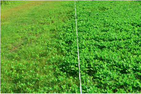 Use of treated tape can help keep deer out of plots so they can get more established, as the side on the right indicates.