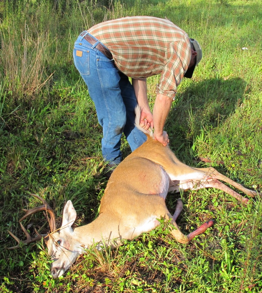 Should hunters be able to sell parts of a deer they kill?