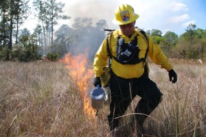 Florida burn