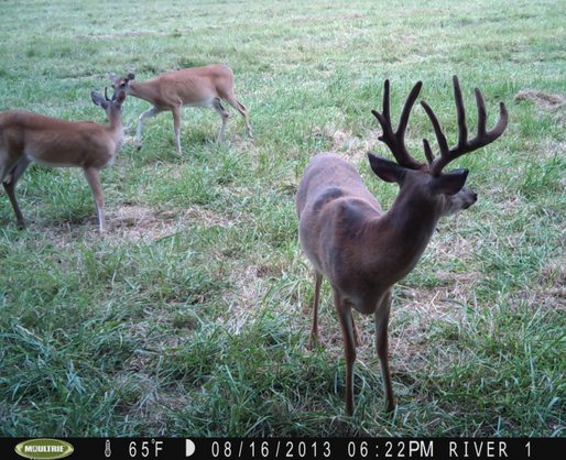 Freak Nasty during the 2013 season, which he survived despite several sightings.