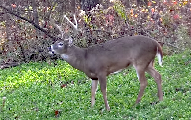 Wind can wreak havoc on even the best laid plans for a hunt.