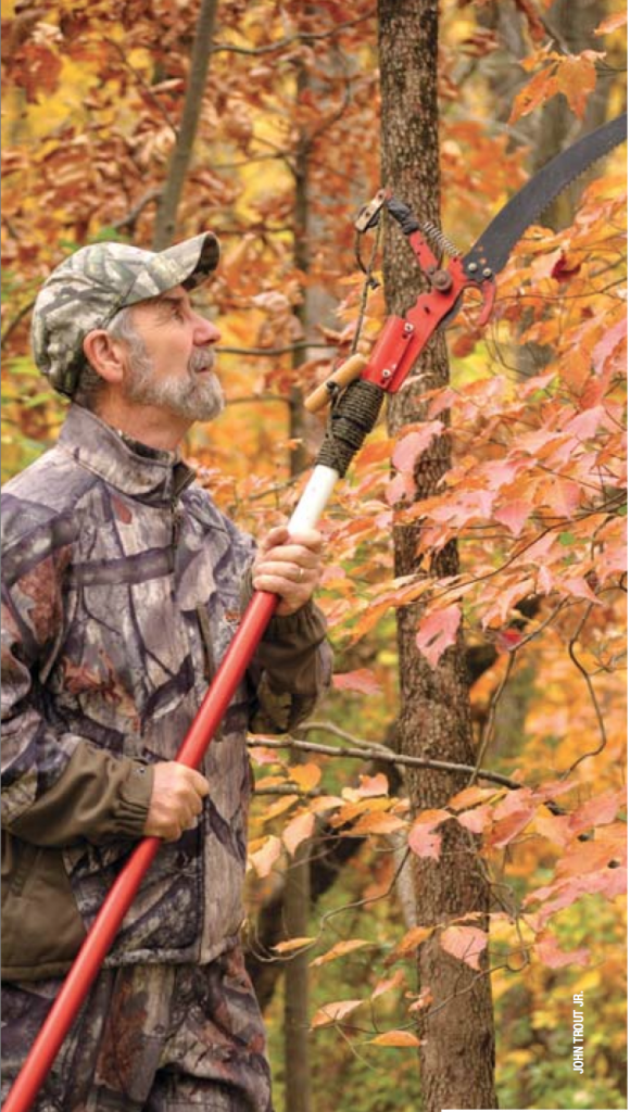 Prune only the limbs and vegetation needed to provide shooting lanes and minimal sight lines, but not at the expense of creating openings that blow your stand or look out of place.
