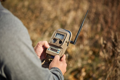 Trail Camera Gear, Tactics for Landowners and Public Land Hunters