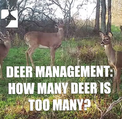 Hunting Land Carrying Capacity