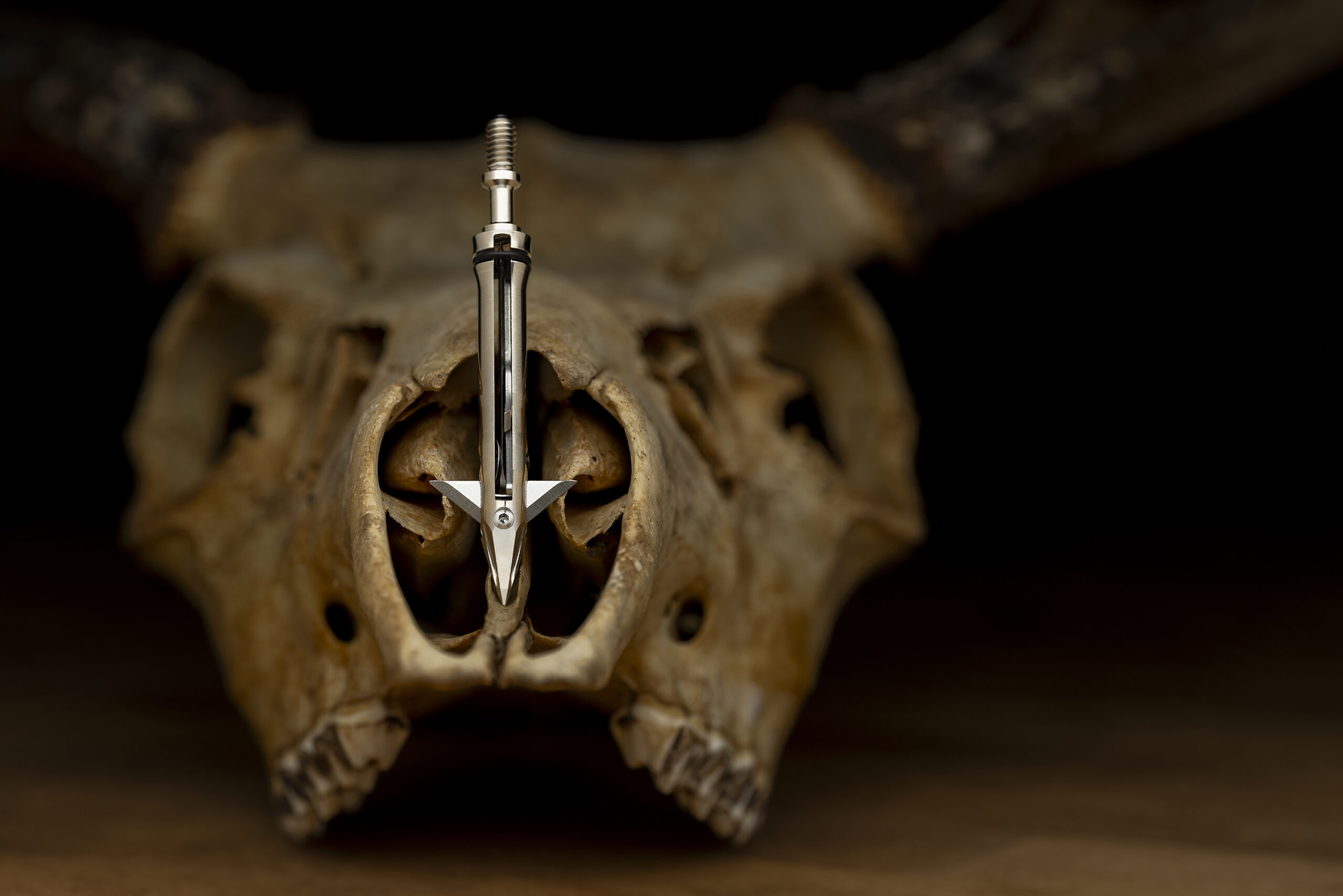SEVR 2.0 hybrid broadhead