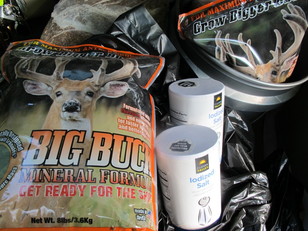 White salt and a little Big Buck Mineral Formula was a great combo last year for game camera images, with does and bucks hitting the site pretty hard.