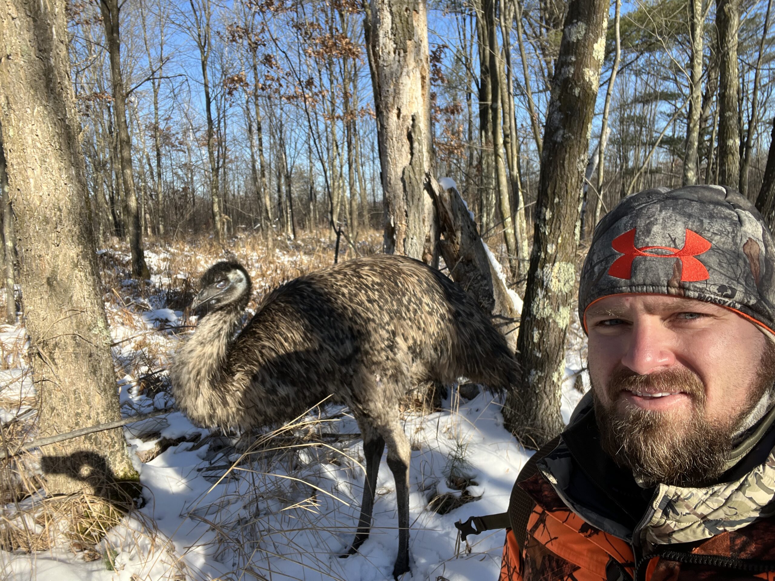 Hunter Shoots Buck With Help of Emu Companion