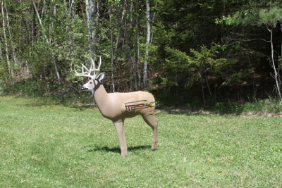 Not a bad grouping!