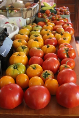 A small percentages of the tomatoes we grew this year.