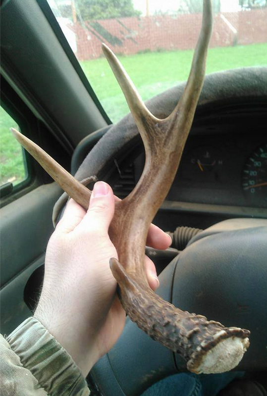 Jesse Danielson Blacktail shed Northwest Oregon