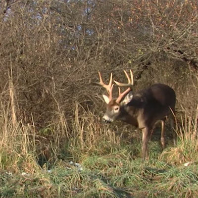 Keep the Ladies Happy | Land Of Whitetail TV