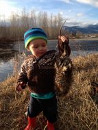 Montana trappers believe the future of trapping on public lands is at stake with this ballot measure that would ban public land trapping other than by state wildlife officials.