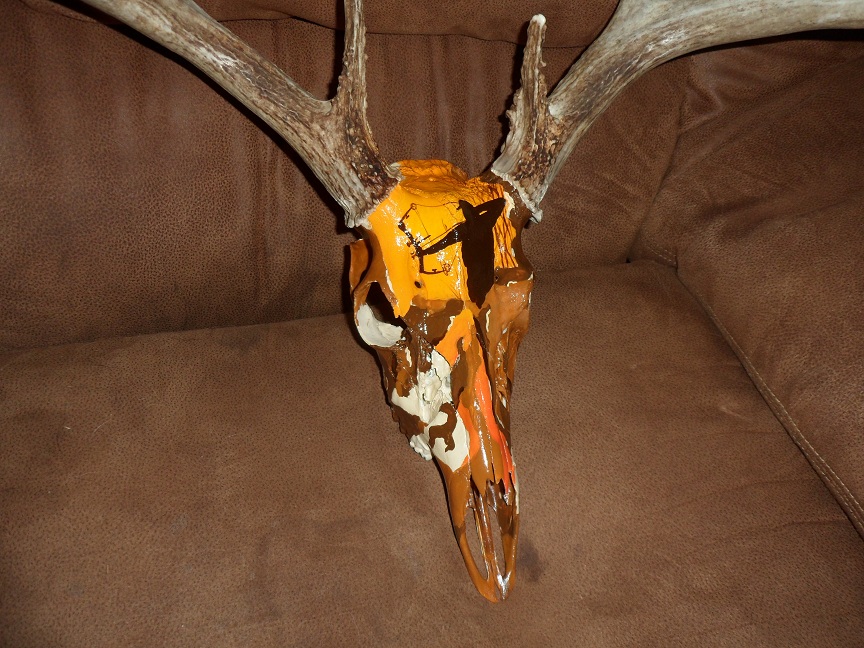 How to boil a deer skull tips for Cleaning a deer skull
