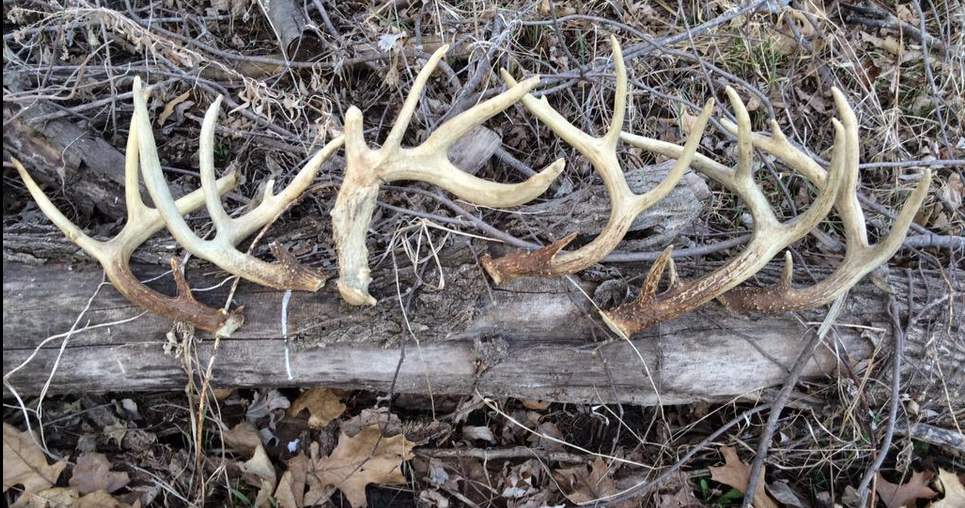 Nice pickups from Illinois