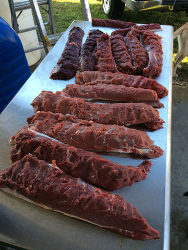 Nugent Venison Care and Cooking Refresher Alert
