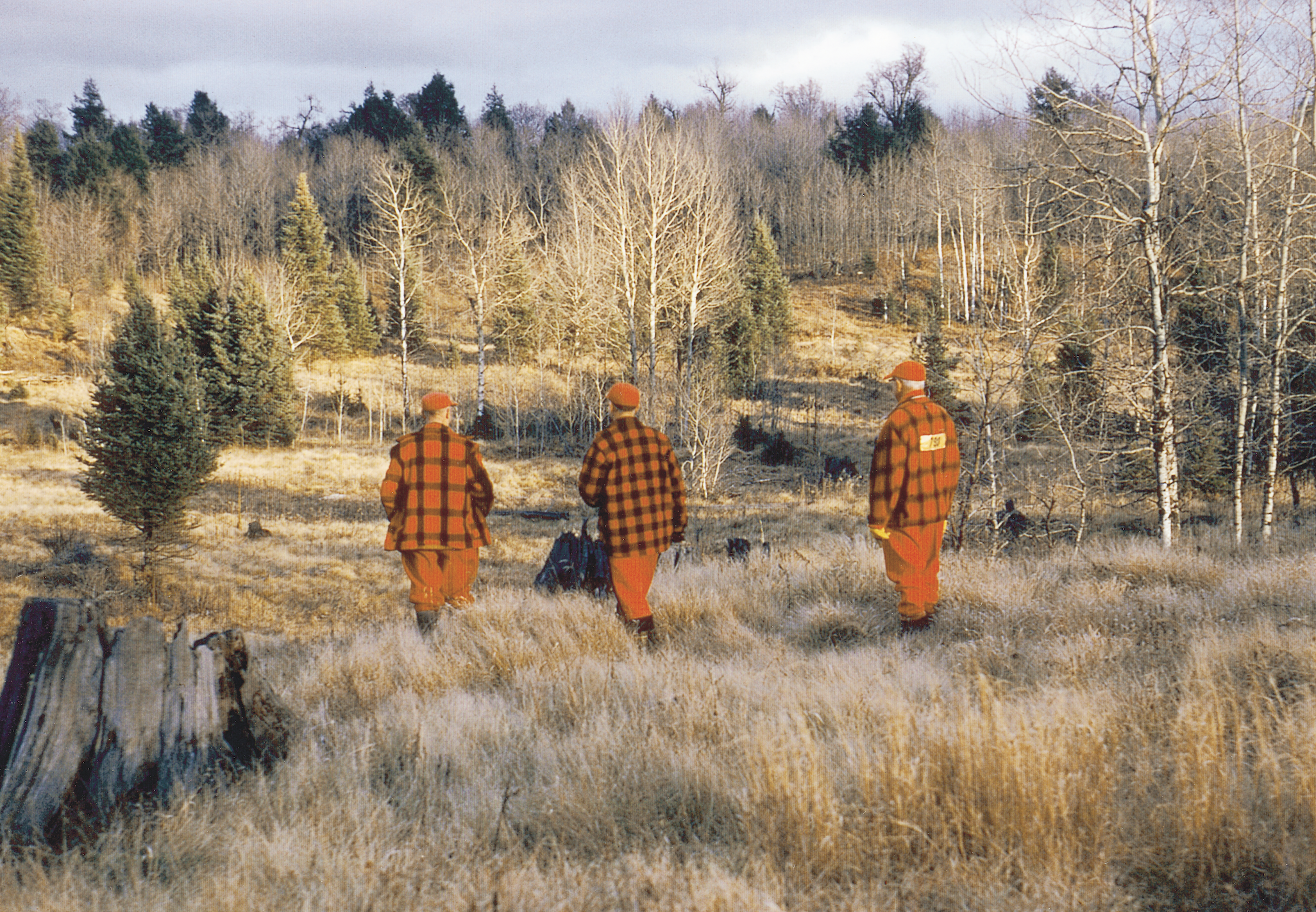 deer camp