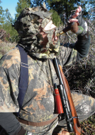 predator-elevated-positions-may-yield-more-coyotes