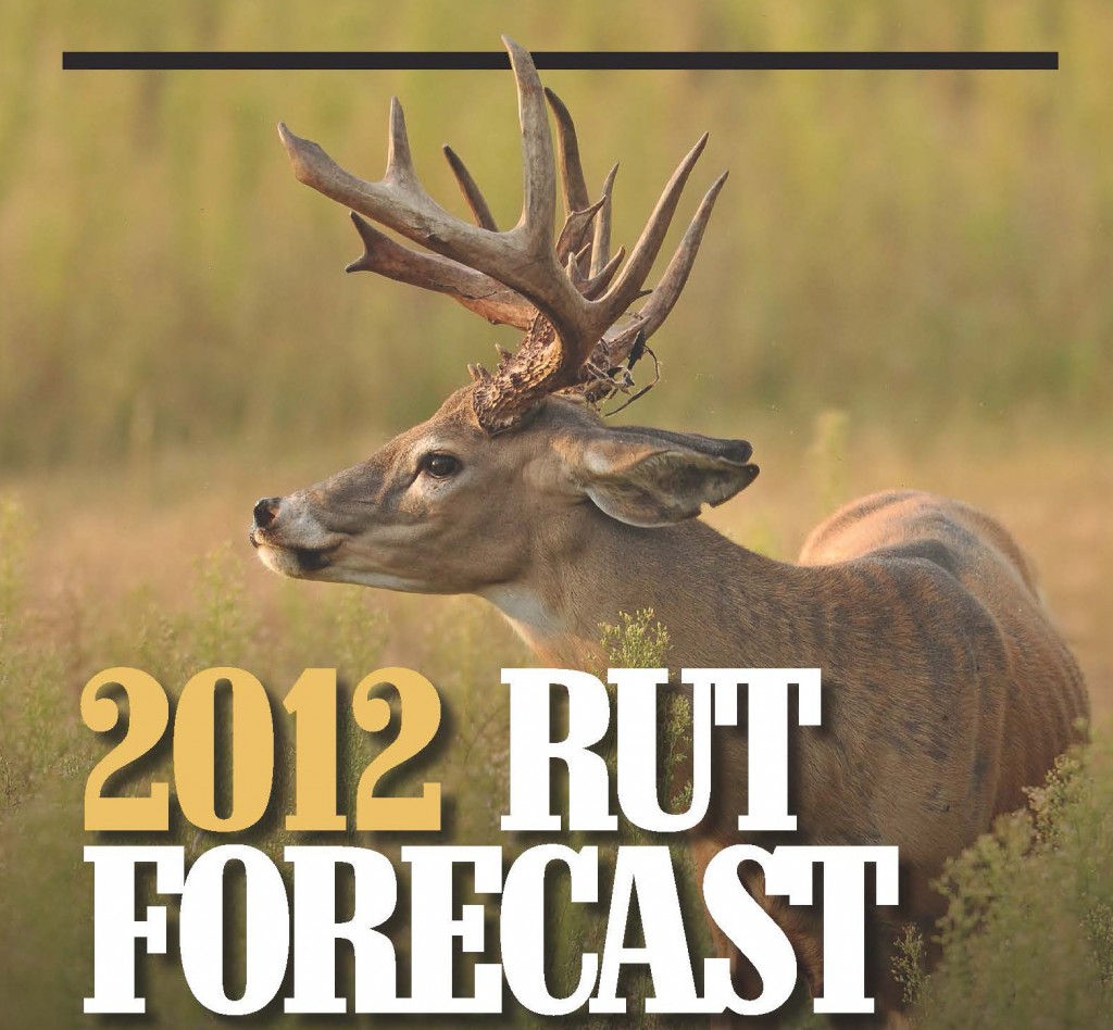 White-Tailed Deer Rut Archives | Deer & Deer Hunting