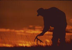 Grid your antler search and you'll come up with more bone.