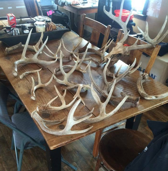 SHEDS Mike Wise with some great variety in size and even a skull with the rack attached