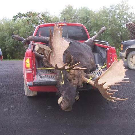 moose truck