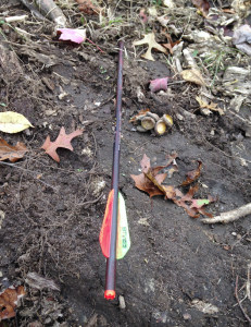 The best crossbow bolts / arrows are ones that hit their mark! Dan shot this perfect arrow yesterday afternoon.
