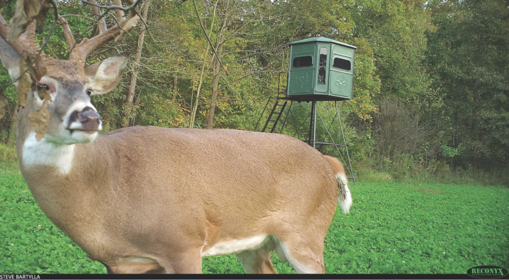 Enjoy Big Success on Small Hunting Properties