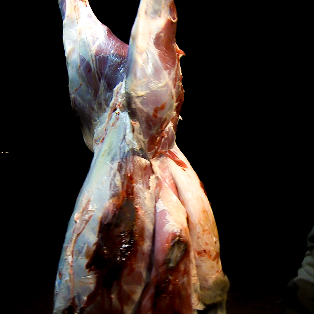 process deer