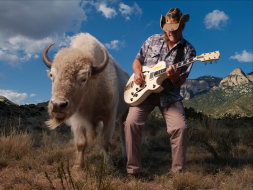 TED Buffalo2