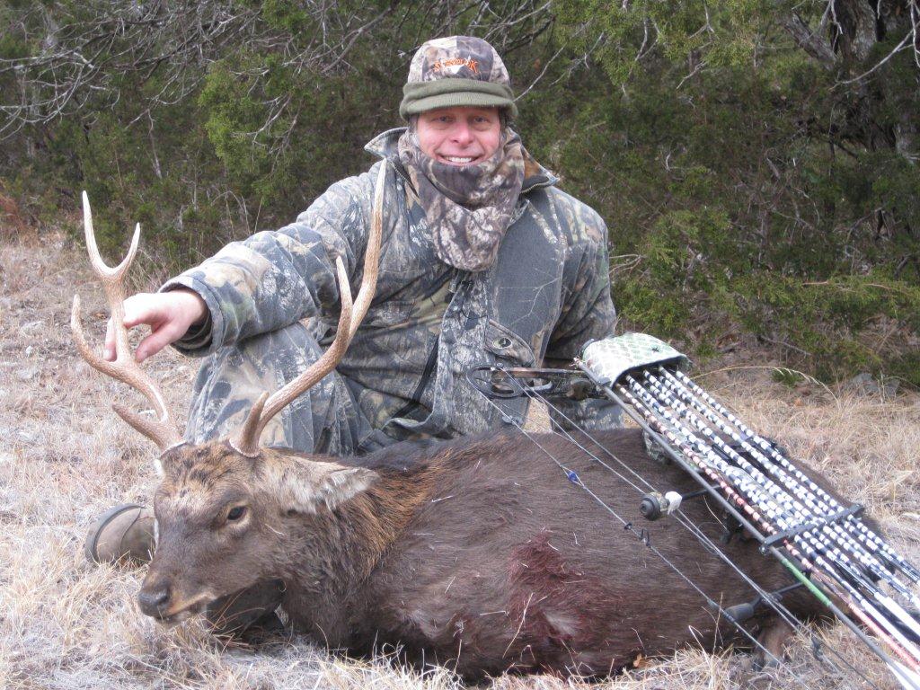 Sika deer and Ted go together like rock 'n roll and high volume!
