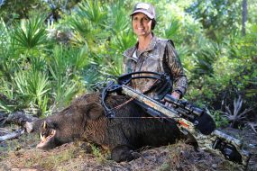 Shooting from a ground blind can have challenges. Hunting feral hogs, if you can, gives you some good practice with a crossbow and ground blind so you'll be ready during deer season.