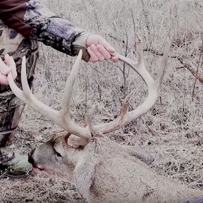 Texas | Destination Whitetail TV