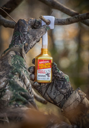 The Beginner Hunter's Guide to Whitetail Rut Scents