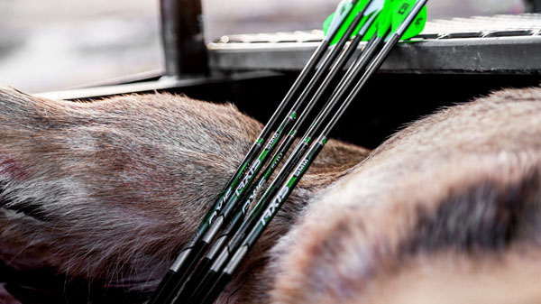 The Secret to Maximizing Bowhunting Shaft Penetration