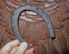 An old horseshoe probably doesn't have a whit's worth of luck but it's fun to think they do, especially after finding one and killing a turkey.
