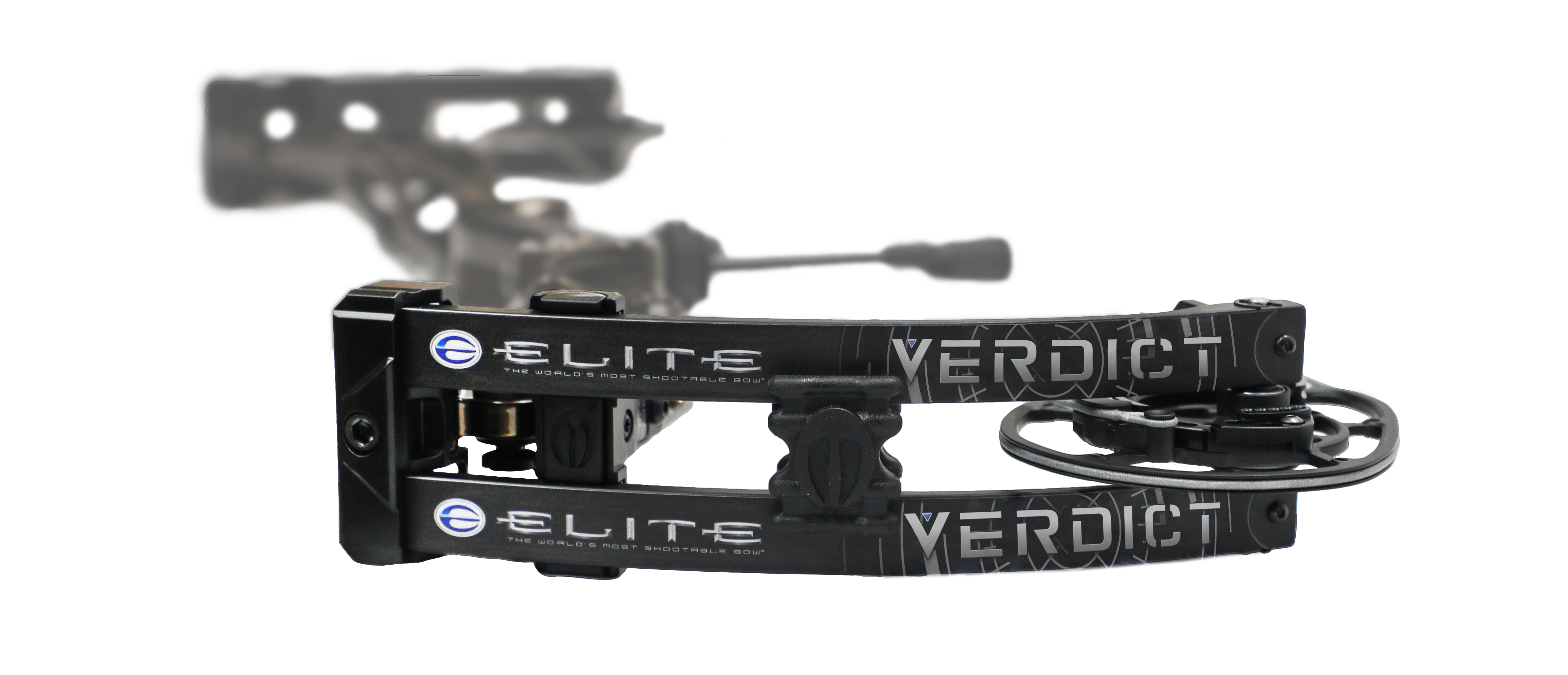 Elite verdict