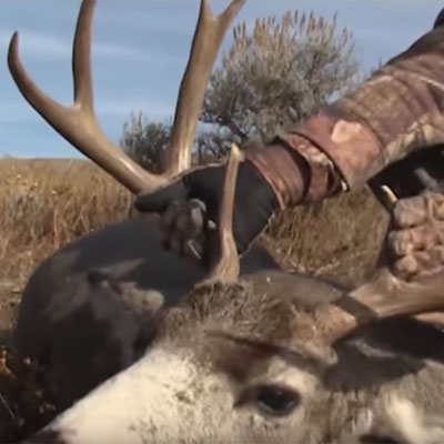Welcome to Deer Nation | Destination Whitetail TV