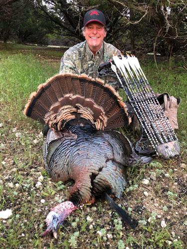 Wild Turkeys: An American Success Story