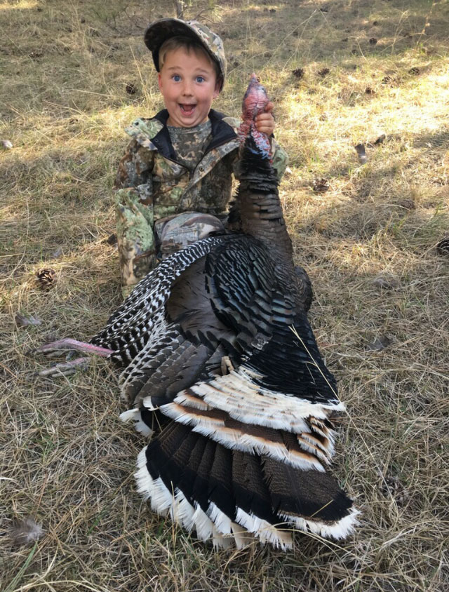 Wild Turkeys: An American Success Story