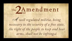 aSecondAmendment