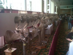 adeer-1 Big Deer on Display