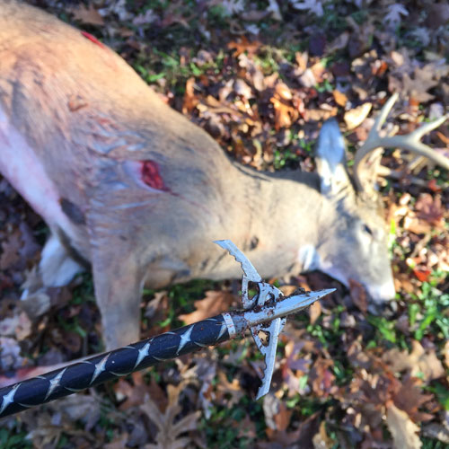 bowhunting wounding rates