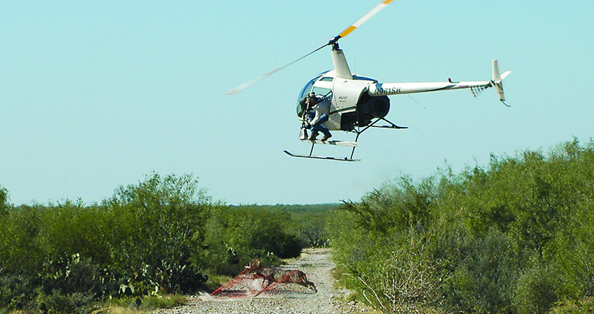 The Facts and Fallacies of Historical Whitetail Translocations