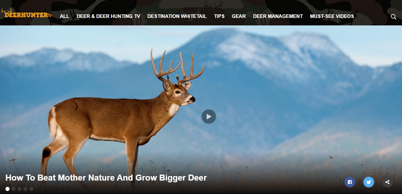 Watch free hunting TV shows online