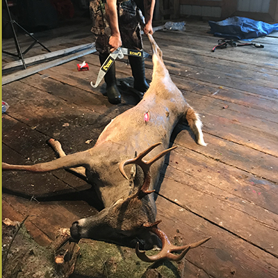 Know Your Venison Options